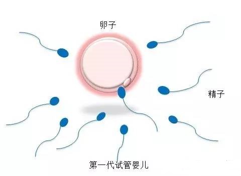 层流实验室